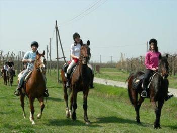 Agriturismo La Riccardina Budrio  Eksteriør billede